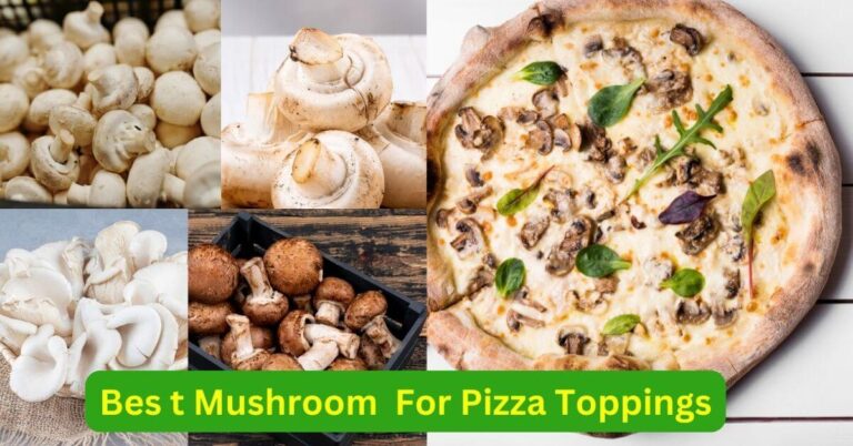 Best Mushroom For Pizza Topping